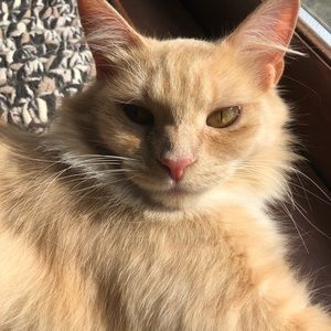 Meet your Posher, Ainsley